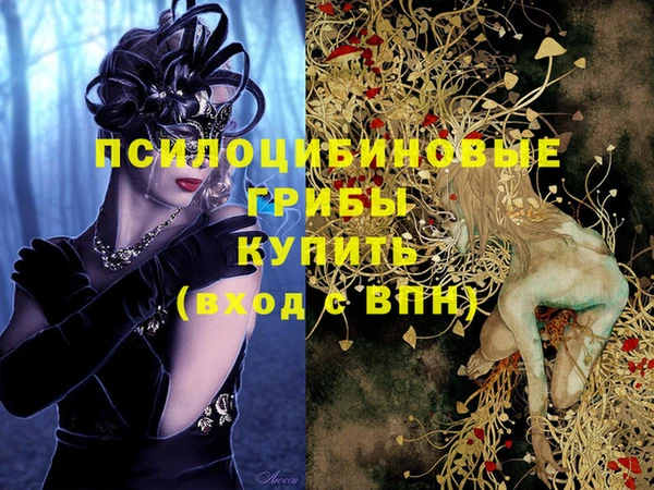 apvp Абдулино