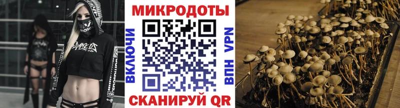 Галлюциногенные грибы мицелий mega сайт Новотитаровская